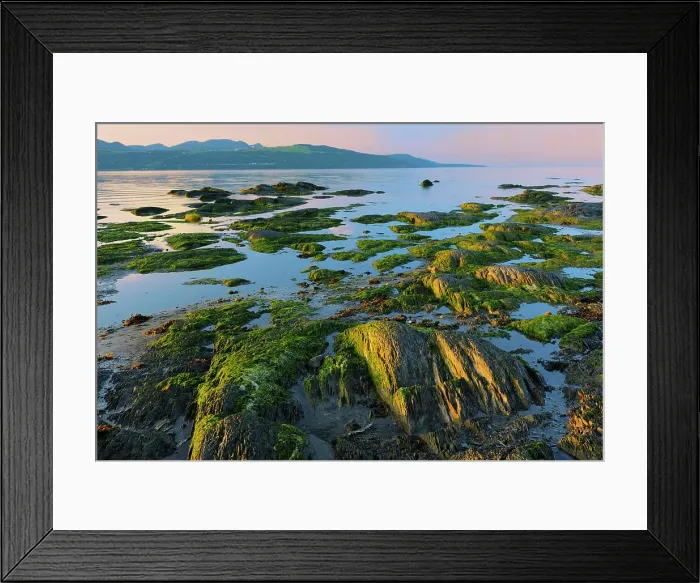 Framed Print : Sunset on shoreline of Gulf of St. Lawrence Iles-aux-Coudres, Quebec, Canada Framed Print : Sunset on shoreline of Gulf of St. Lawrence Iles-aux-Coudres, Quebec, Canada