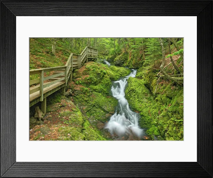 Framed Print : Dickson Falls and boardwalk Fundy National Park, New Brunswick, Canada Framed Print : Dickson Falls and boardwalk Fundy National Park, New Brunswick, Canada