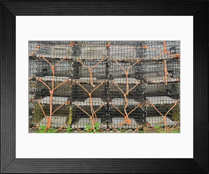 Framed Print : Lobster traps Grand Manan Island, New Brunswick, Canada Framed Print : Lobster traps Grand Manan Island, New Brunswick, Canada