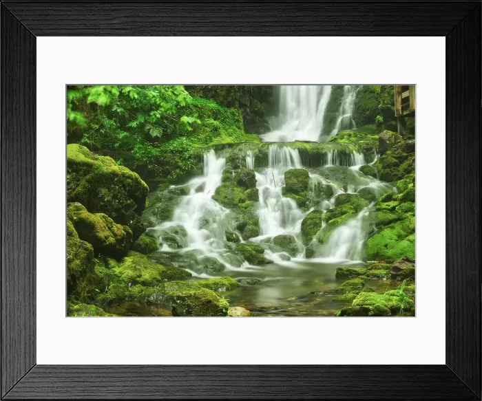 Framed Print : Dickson Falls Fundy National Park, New Brunswick, Canada Framed Print : Dickson Falls Fundy National Park, New Brunswick, Canada