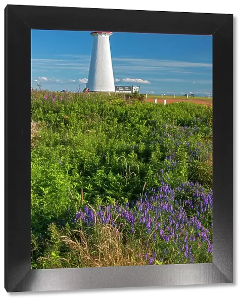 Point Prim Lighthouse and wildflowers Point Prim, Prince Edward Island, Canada