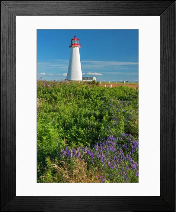 Framed Print : Point Prim Lighthouse and wildflowers Point Prim, Prince Edward Island, Canada Framed Print : Point Prim Lighthouse and wildflowers Point Prim, Prince Edward Island, Canada