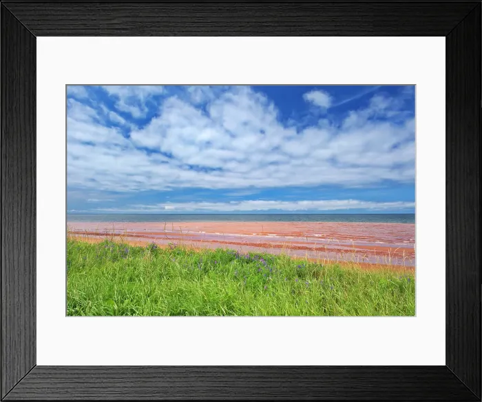 Framed Print : Red sandstone beach at low tide. Northumberland Strait. Skinners Pond, Prince Edward Island, Canada Framed Print : Red sandstone beach at low tide. Northumberland Strait. Skinners Pond, Prince Edward Island, Canada