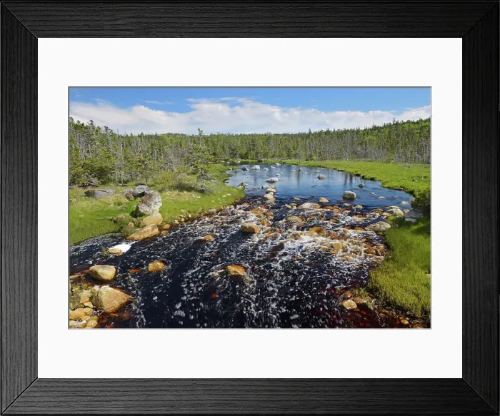 Framed Print : Creek and boreal forest Near Tor Bay, Nova Scotia, Canada Framed Print : Creek and boreal forest Near Tor Bay, Nova Scotia, Canada