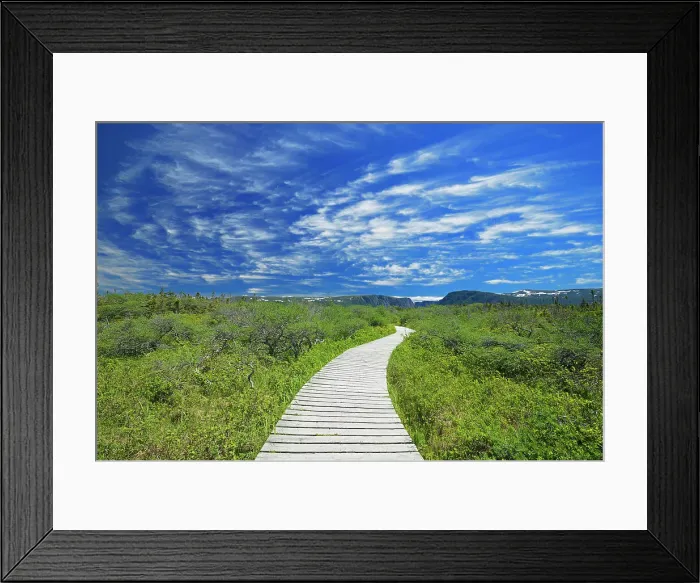 Framed Print : Boardwalk at Western Brook Pond Gros Morne National Park, Newfoundland & Labrador, Canada