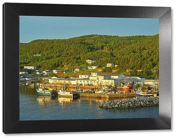 Fishing village in La Scie Harbour off the Atlantic Ocean. Baie Verte Peninsula. La Scie, Newfoundland & Labrador, Canada