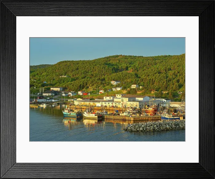 Framed Print : Fishing village in La Scie Harbour off the Atlantic Ocean. Baie Verte Peninsula. La Scie, Newfoundland & Labrador, Canada Framed Print : Fishing village in La Scie Harbour off the Atlantic Ocean. Baie Verte Peninsula. La Scie, Newfoundland & Labrador, Canada