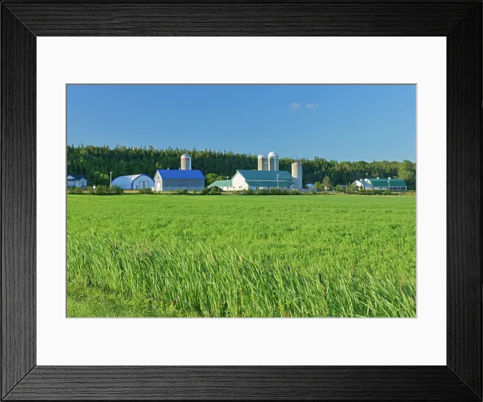 Framed Print : Farms and crop Cacoona, Quebec, Canada Framed Print : Farms and crop Cacoona, Quebec, Canada