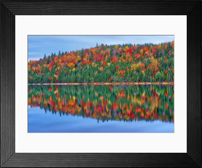 Framed Print : Autumn colors reflected in Lac Modene. Great Lakes - St. Lawrence Forest Region. La Mauricie National Park, Quebec, Canada Framed Print : Autumn colors reflected in Lac Modene. Great Lakes - St. Lawrence Forest Region. La Mauricie National Park, Quebec, Canada