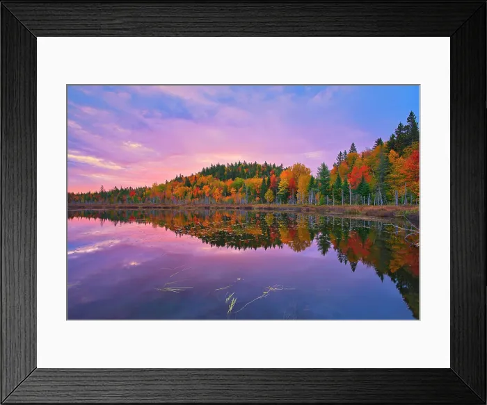 Framed Print : Autumn colors at dawn reflected in Lac Boyer in the Laurentian Mountains. Great Lakes - St. Lawrence Forest Region. La Mauricie National Park, Quebec, Canada