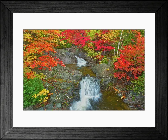 Framed Print : Morrison Brook and the Acadian forest in autumn foliage Cape Breton, Nova Scotia, Canada Framed Print : Morrison Brook and the Acadian forest in autumn foliage Cape Breton, Nova Scotia, Canada