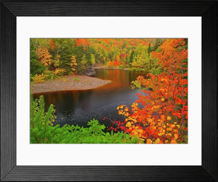 Framed Print : Indian Brook and the Acadian forest in autumn foliage Indian Brook, Nova Scotia, Canada Indian Brook, Nova Scotia, Canada Framed Print : Indian Brook and the Acadian forest in autumn foliage Indian Brook, Nova Scotia, Canada Indian Brook, Nova Scotia, Canada