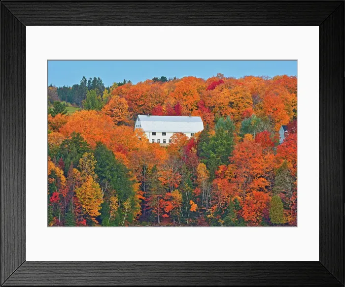 Framed Print : Barn and the Acadian forest in autumn foliage. Rolling hills. Mactaquac, New Brunswick, Canada Framed Print : Barn and the Acadian forest in autumn foliage. Rolling hills. Mactaquac, New Brunswick, Canada