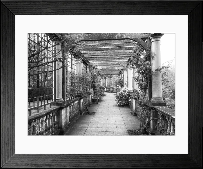 Framed Print : Hampstead Pergola, London, England Framed Print : Hampstead Pergola, London, England