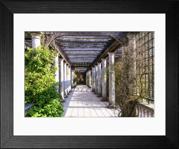 Framed Print : Hampstead Pergola, London, England Framed Print : Hampstead Pergola, London, England