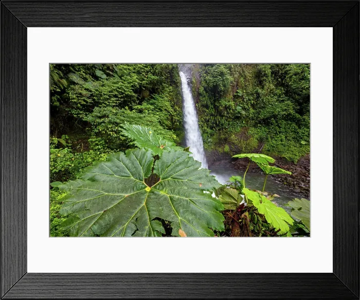 Framed Print : Costa Rica, La Paz waterfall Framed Print : Costa Rica, La Paz waterfall
