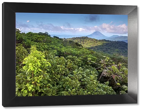 Costa Rica, Cloud forest, Reserva Bosque Nuboso Santa Elena, volcano Arenal, near Santa Elena town