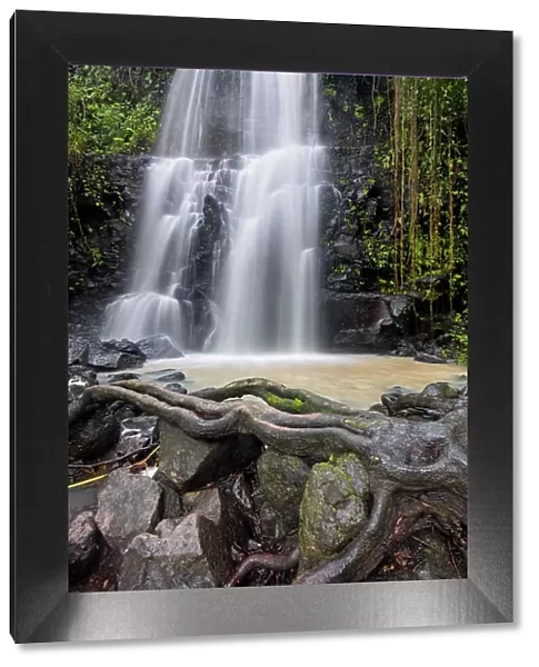 Costa Rica, rainforest, Catarata Llanos de Cortes, waterfall