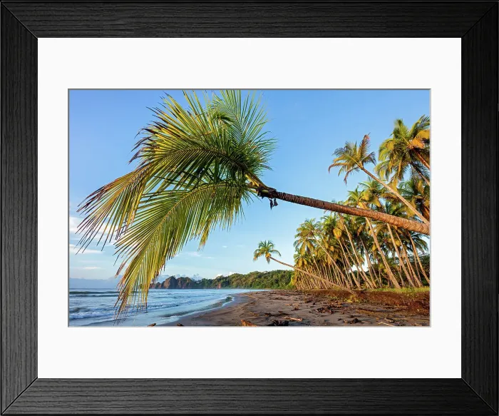 Framed Print : Costa Rica, Pacific coast, sunrise, Carillo beach, near Samara town Framed Print : Costa Rica, Pacific coast, sunrise, Carillo beach, near Samara town