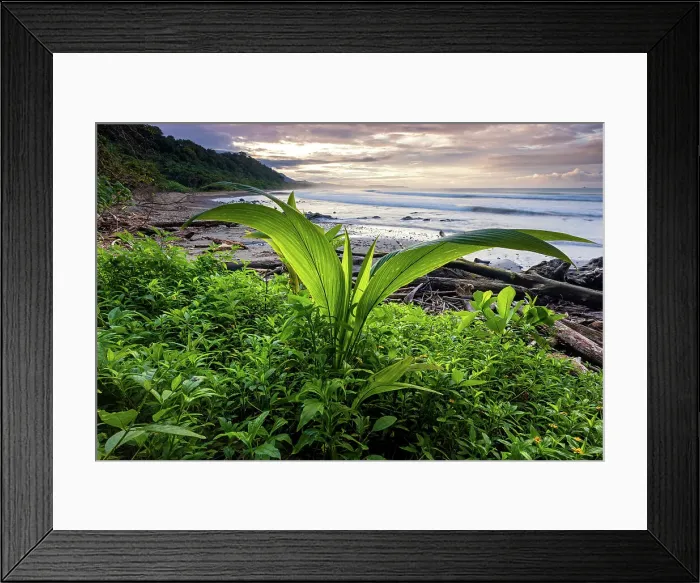 Framed Print : Costa Rica, Pacific coast, sunset, Hermosa beach, near Uvita town Framed Print : Costa Rica, Pacific coast, sunset, Hermosa beach, near Uvita town