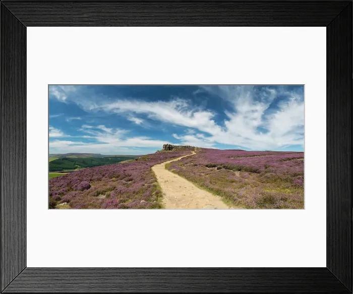 Framed Print : Footpath through Heather in Bloom, Peak District National Park, Derbyshire, England Framed Print : Footpath through Heather in Bloom, Peak District National Park, Derbyshire, England