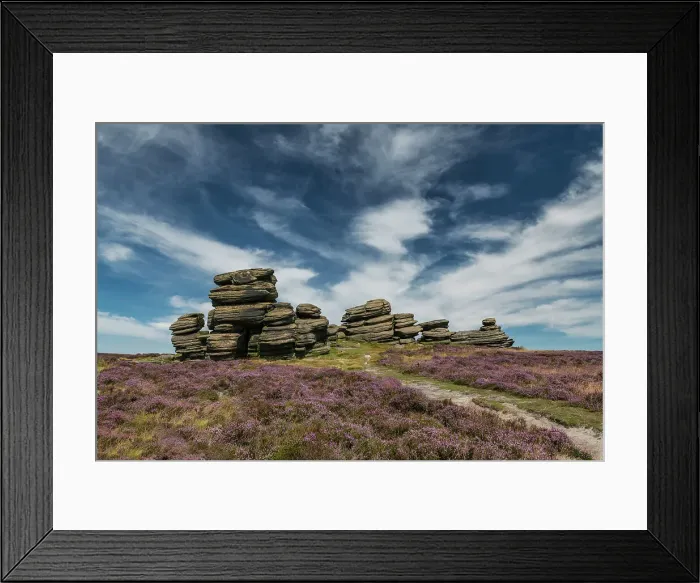 Framed Print : Coach & Horses in Heather, Peak District National Park, Derbyshire, England Framed Print : Coach & Horses in Heather, Peak District National Park, Derbyshire, England