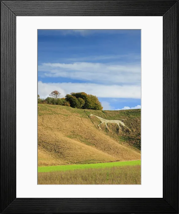 Framed Print : Cherhill White Horse, Wiltshire, England, UK Framed Print : Cherhill White Horse, Wiltshire, England, UK
