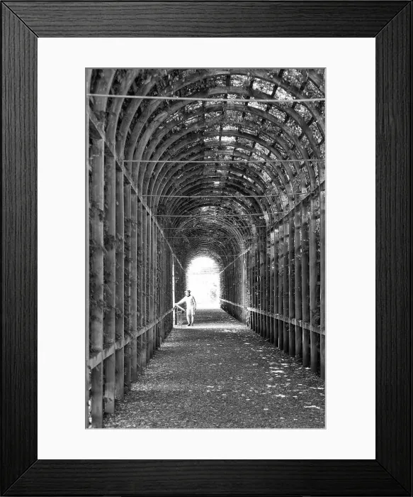 Framed Print : Pergola in the Privy Garden, Hampton Court Palace, London, England Framed Print : Pergola in the Privy Garden, Hampton Court Palace, London, England