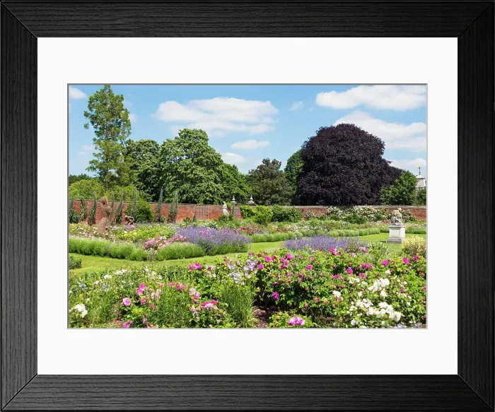 Framed Print : The Rose Garden, Hampton Court Palace, London, England Framed Print : The Rose Garden, Hampton Court Palace, London, England