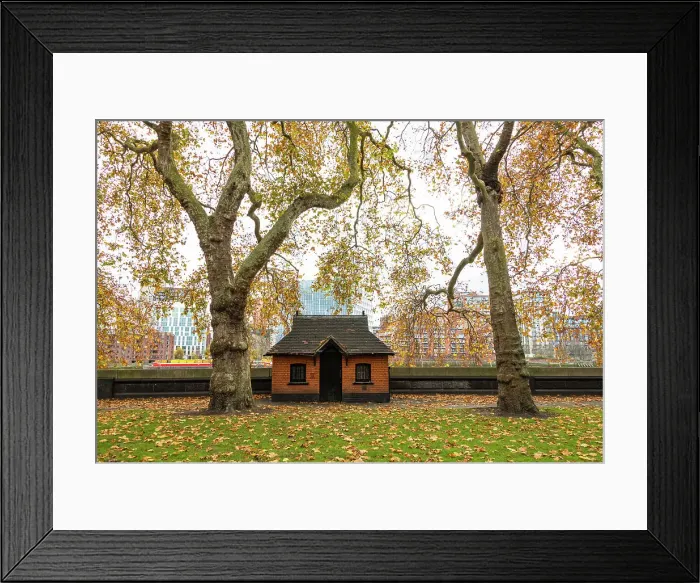 Framed Print : Chelsea in the autumn, London, England Framed Print : Chelsea in the autumn, London, England