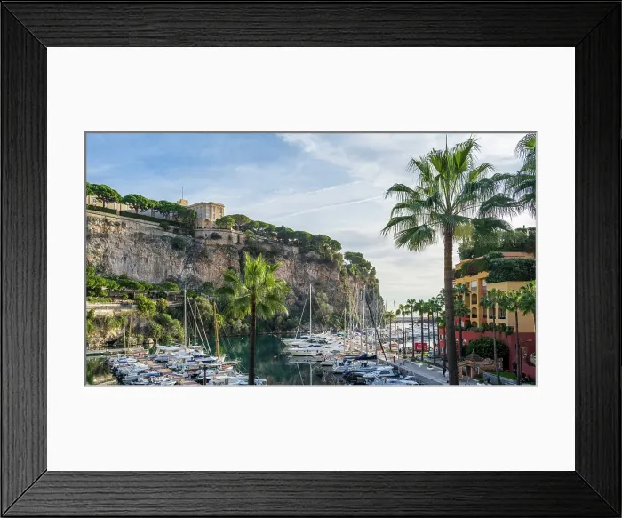 Framed Print : Europe, Principality of Monaco. The little harbour on foot of Monaco Ville