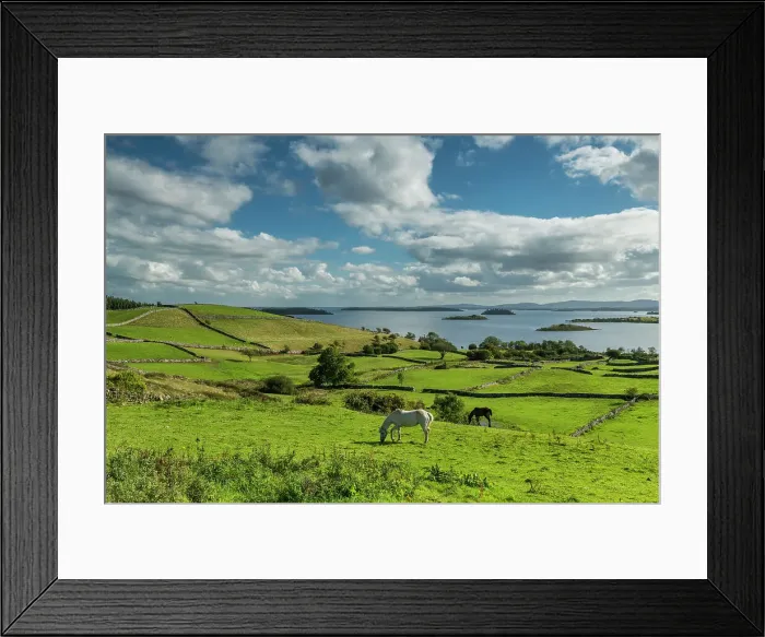 Framed Print : Grazing Horses, Derryfadda, Connemara, Co. Mayo, Ireland Framed Print : Grazing Horses, Derryfadda, Connemara, Co. Mayo, Ireland