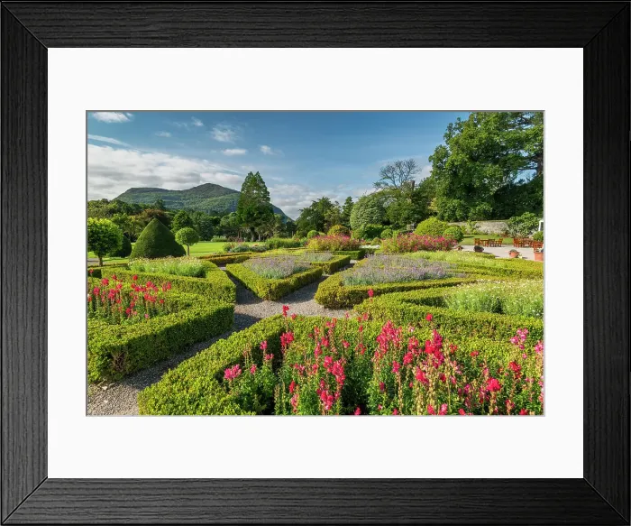 Framed Print : Muckross House Gardens, Killarney, Co. Kerry, Ireland Framed Print : Muckross House Gardens, Killarney, Co. Kerry, Ireland