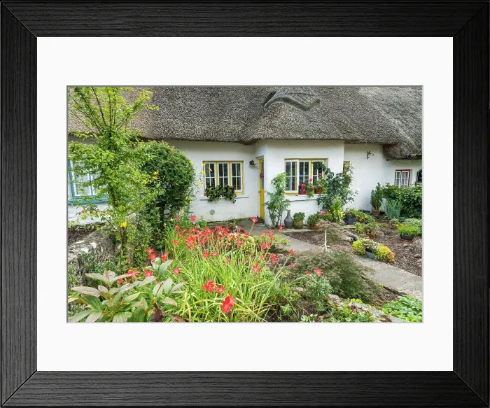 Framed Print : Thatched Cottage & Garden, Adare, Co. Limerick, Ireland Framed Print : Thatched Cottage & Garden, Adare, Co. Limerick, Ireland