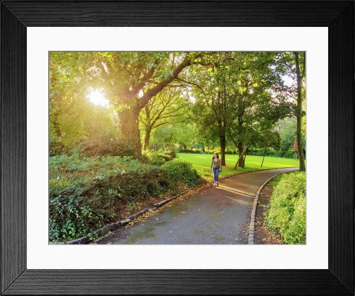 Framed Print : Merrion Square Park, Dublin, Ireland