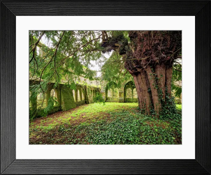 Framed Print : Cloister at the Franciscan Friary, Adare, County Limerick, Ireland Framed Print : Cloister at the Franciscan Friary, Adare, County Limerick, Ireland