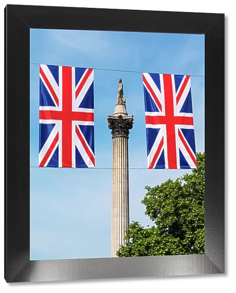 Union flags and Nelsons Column, Trafalgar Square, London, England