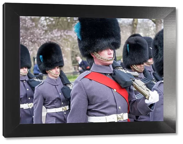UK, England, London, Changing of the Guard, Household Division, royal guards, Irish Guards regiment. Wearing winter great coats and bearskin hats