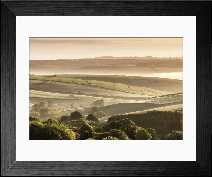 Framed Print : Morning light over countryside near West Compton in west Dorset, England, UK