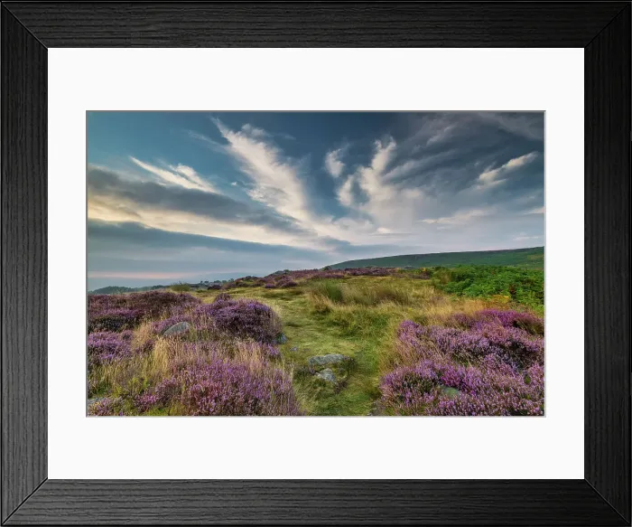 Framed Print : Cloudscape over Heather in Bloom, Ilkley Moor, West Yorkshire, England Framed Print : Cloudscape over Heather in Bloom, Ilkley Moor, West Yorkshire, England