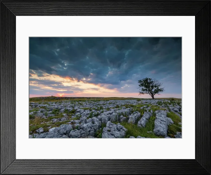 Framed Print : Lone Tree on Limestone Pavement at Sunrise, Malham, Yorkshire Dales, England Framed Print : Lone Tree on Limestone Pavement at Sunrise, Malham, Yorkshire Dales, England