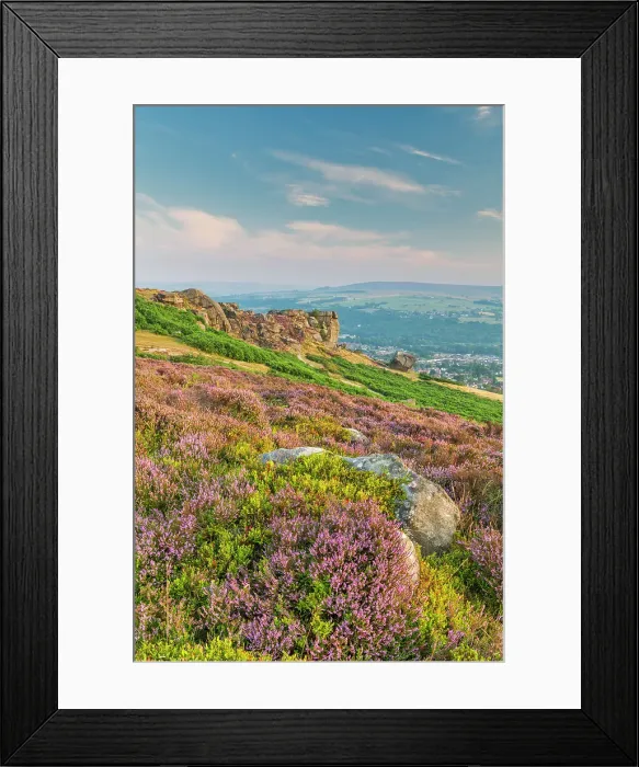 Framed Print : Cow & Calf, Ilkley Moor, West Yorkshire, England Framed Print : Cow & Calf, Ilkley Moor, West Yorkshire, England