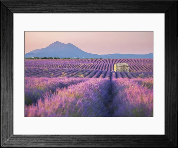 Framed Print : Stone barn in lavender field, Plateau de Valensole, Provence-Alpes-Cote d'Azur, Provence, France Framed Print : Stone barn in lavender field, Plateau de Valensole, Provence-Alpes-Cote d'Azur, Provence, France