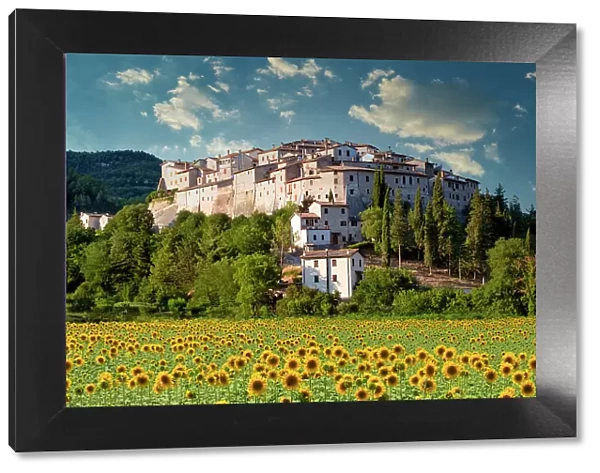 Castel San Felice & Sunflowers, Umbria, Italy