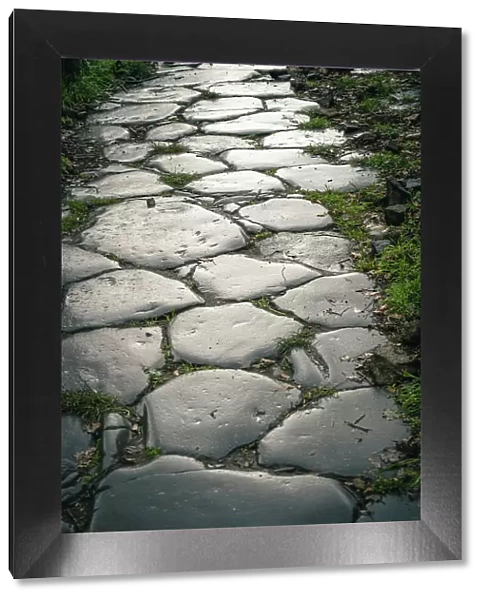 Europe, Italy, Latium. An old road paved with big stones in Tusculum, the ancient roman town near to Frascati