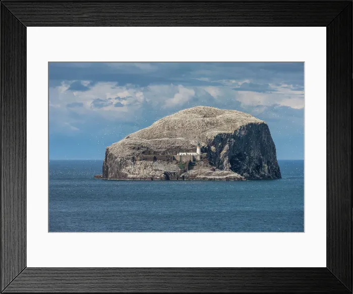 Framed Print : Scotland, East Lothian, Firth of Forth, Bass Rock, bird island, gannets Framed Print : Scotland, East Lothian, Firth of Forth, Bass Rock, bird island, gannets