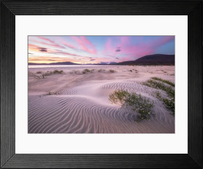 Framed Print : Sand dunes on Seilebost beach looking towards Luskentyre, Isle of Harris, Outer Hebrides, Scotland Framed Print : Sand dunes on Seilebost beach looking towards Luskentyre, Isle of Harris, Outer Hebrides, Scotland