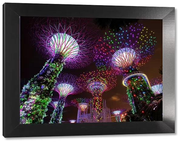 Singapore, Singapore City, Gardens by the Bay, Supertrees, & Marina Bay Sands