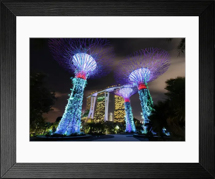 Framed Print : Singapore, Singapore City, Gardens by the Bay, Supertrees, & Marina Bay Sands Framed Print : Singapore, Singapore City, Gardens by the Bay, Supertrees, & Marina Bay Sands