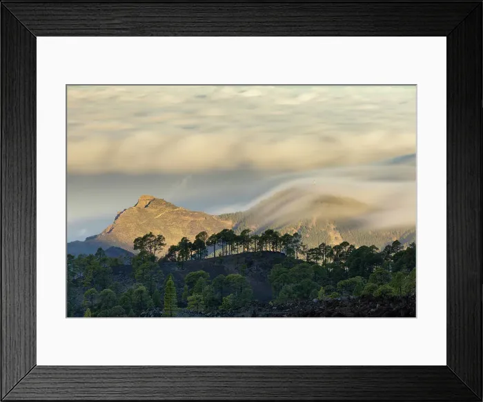 Framed Print : Canary Island Pine Forest with clouds moving over the Atlantic during a long exposure, Teide National Park, Tenerife, Canary Islands Framed Print : Canary Island Pine Forest with clouds moving over the Atlantic during a long exposure, Teide National Park, Tenerife, Canary Islands
